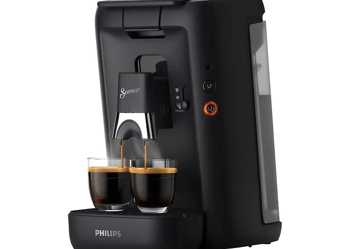 With Kitchen, Bed, Sofa *